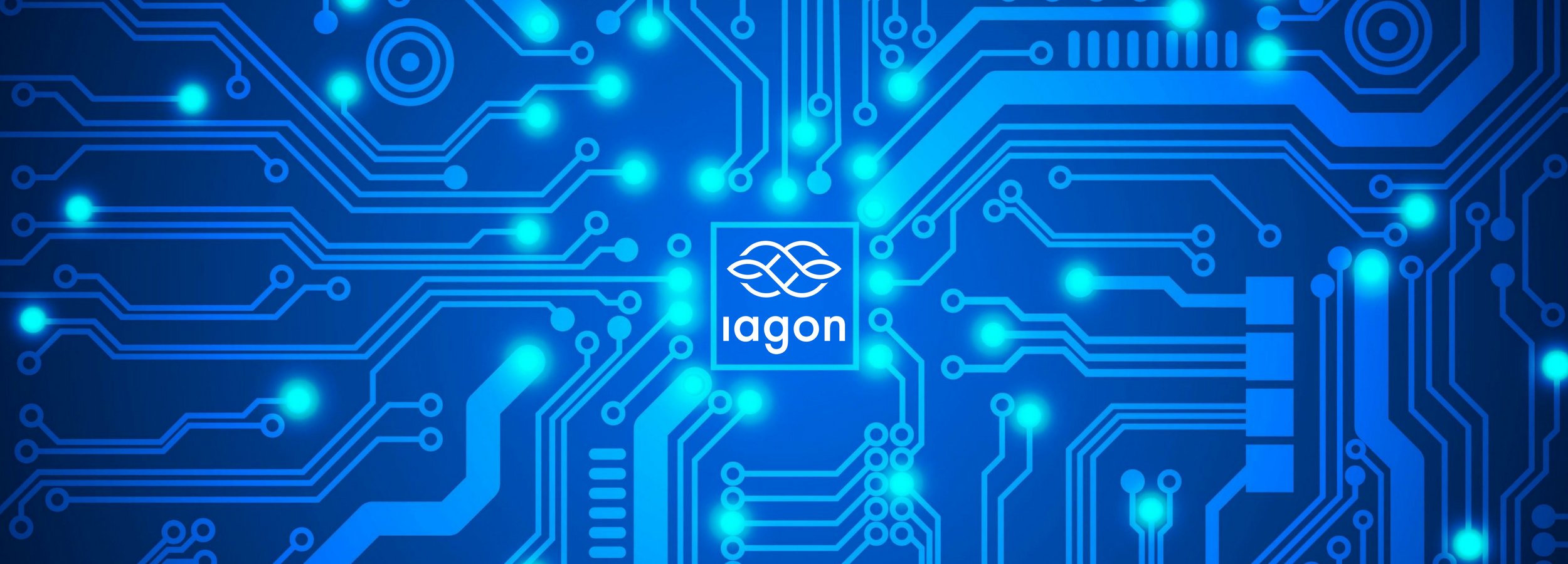 Iagon: Security Against Data Leaks And Breaches