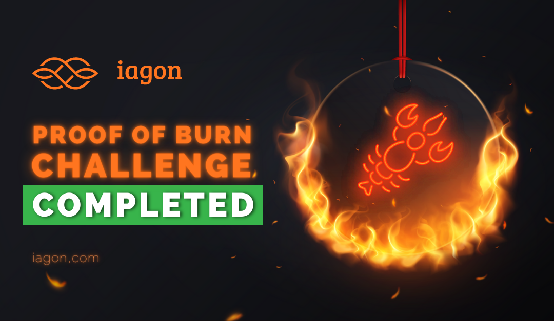 Iagon's solution to the Cardano Proof of Burn Challenge